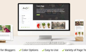 Amalie – Modernes Blogging-WordPress-Vorlage