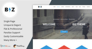 Biz - Mehrzweck Business WordPress Vorlage