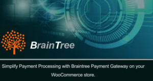 BrainTree Payment Gateway für Woocommerce