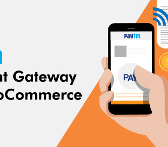 Paytm Payment Gateway für WooCommerce