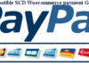 SPG - Smart Payment Gateway für Paypal