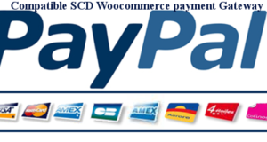 SPG – Smart Payment Gateway für Paypal