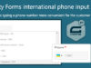 Gravity Forms internationale Telefoneingaben