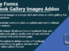 Gravity Forms Facebook Galerie Bilder Add-on