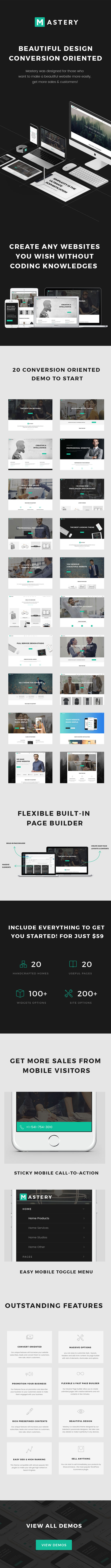 Beherrschung - Kreativer WordPress Theme Builder - 1