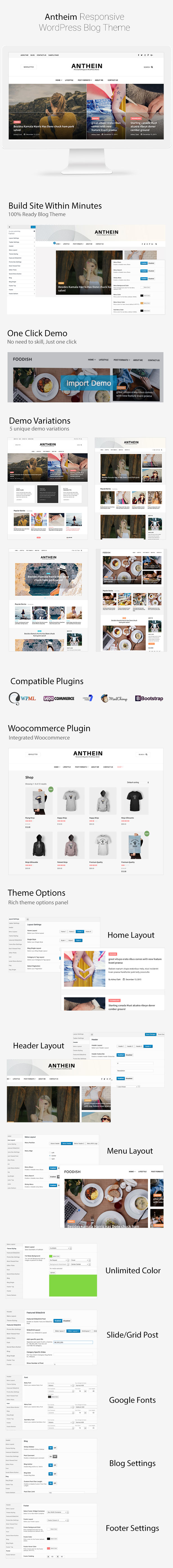 Anthein - WordPress Blog Theme - 2