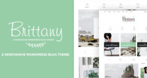Bretagne – Ein responsives WordPress Blog Vorlage