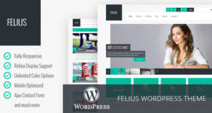Felius - Responsive Mehrzweck-WordPress-Layout