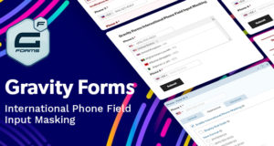 Gravity Forms International Phone Field-Eingabemaskierung
