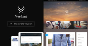 Grün – Responsive WordPress Blogging Vorlage
