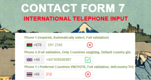 Kontaktformular 7 Internationale Telefoneingabe