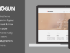 Shogun - das erste reaktive WordPress-Vorlage