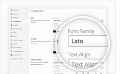 Redux Theme Option