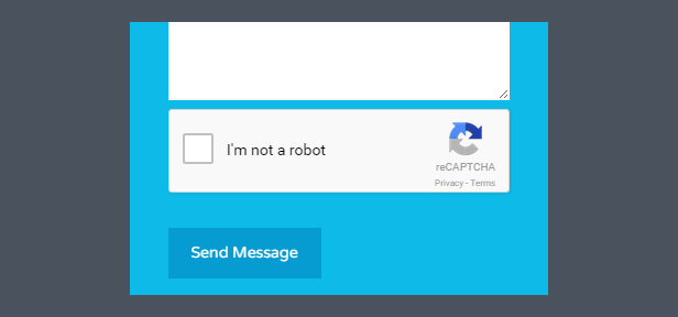 Google reCAPTCHA-Support inbegriffen