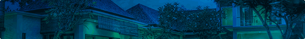 Reaktionsschnelles WordPress-Theme