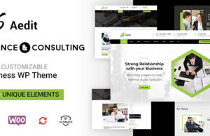 Aedit – Finanzberatung WordPress Vorlage