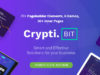 CryptiBIT - Technologie, Kryptowährung, ICO / IEO Landing Page WordPress Vorlage