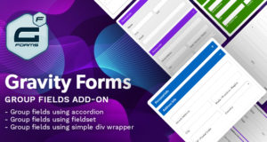 Gravity Forms Gruppenfelder Add-on – (Fieldset, Akkordeon)