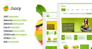 Juicy – Responsives WordPress-Mehrzweck-Layout