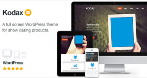 Kodax – Landing Page im Vollbildmodus