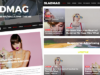 Sladmag - Responsive Nachrichten / Magazin WordPress Layout