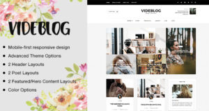 Videblog: Ein responsives WordPress-Blog-Template