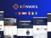 Consoul - Beratungsgeschäft WordPress Layout
