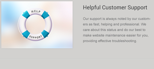WP Theme Kundensupport