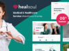 Healsoul – Medizinische Versorgung, Home Healthcare Service WP Vorlage