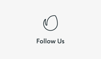 Represent - Mehrzweck-WordPress-Theme