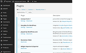 Beliebte WordPress-Plugins werden unterstützt