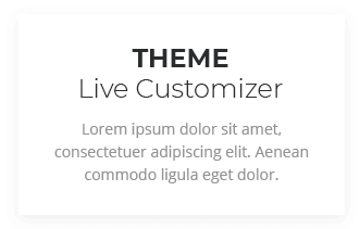 Theme Live Customizer