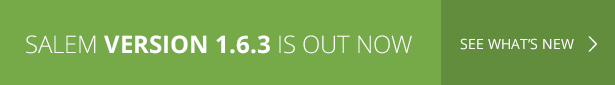 Salem - Clean and Bold Ein-Seiten-Wordpress-Theme - 1
