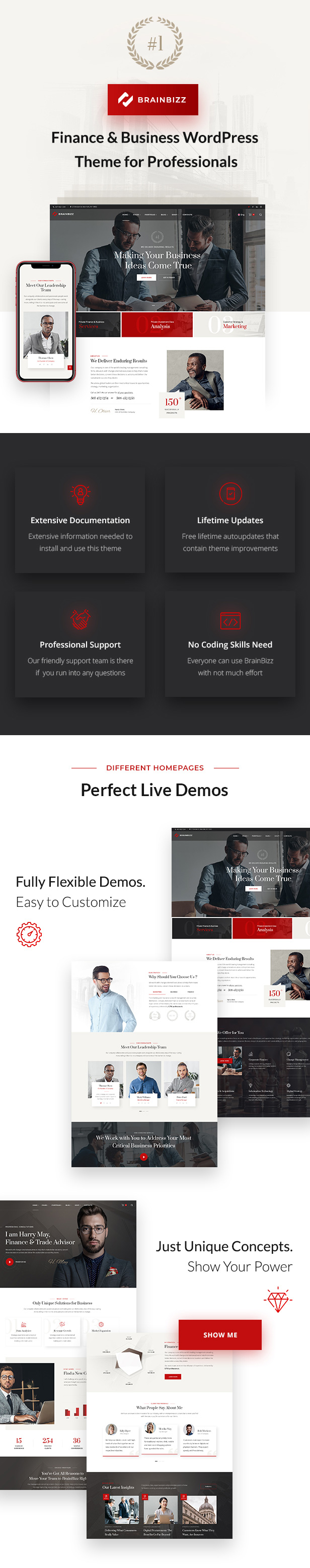 BrainBizz - Finanzen & Business WordPress Theme - 5
