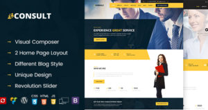 Consult – Berater Business WordPress Layout