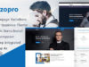 Xzopro - Finanzen und Business WordPress Layout