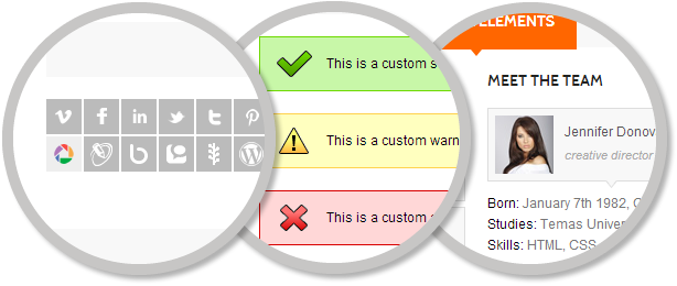 Wise Guys - Responsive Mehrzweck-WordPress - 14
