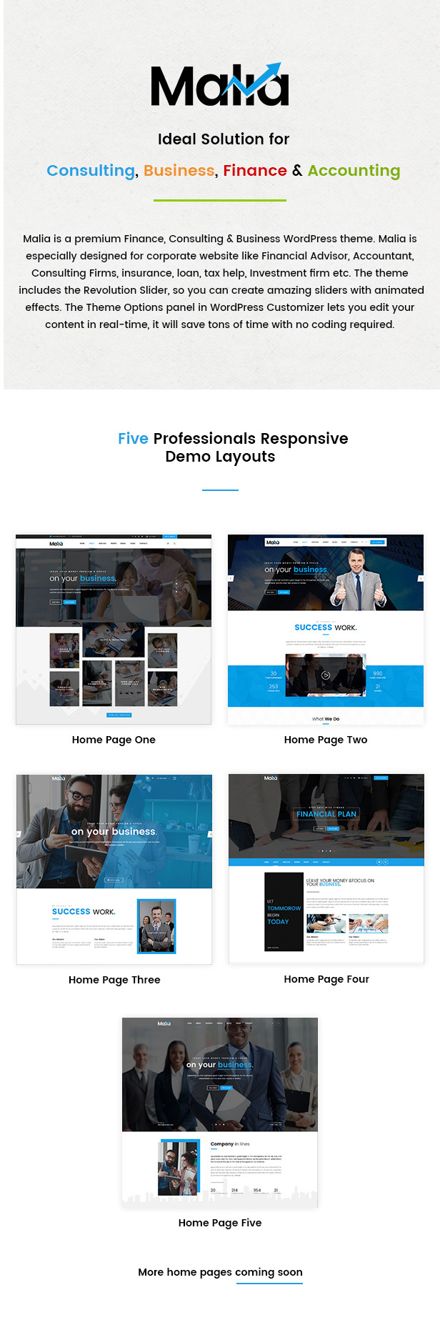 Malia - Ein leistungsstarkes Business- und Finanz-WordPress-Theme - 2