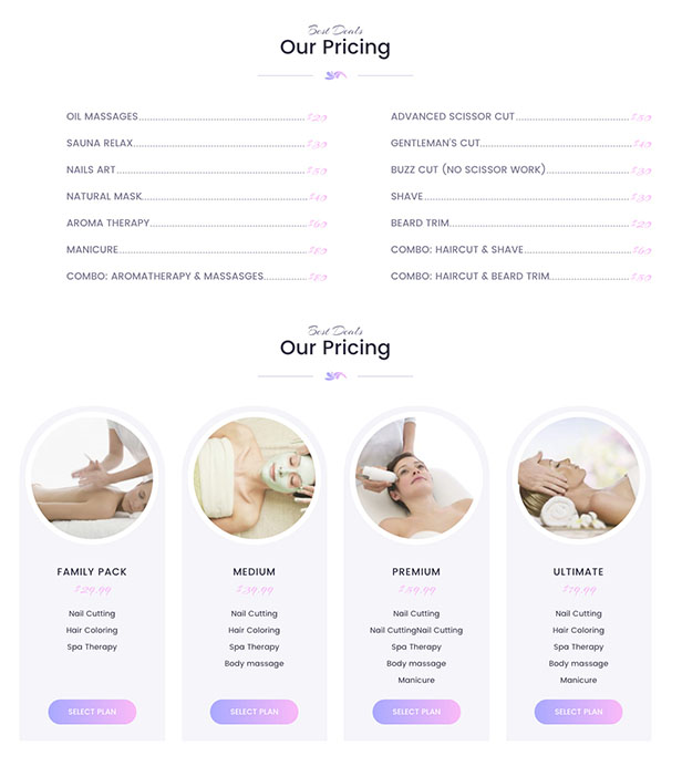 Paradise - Mehrzweck Spa & Beauty WordPress Theme - 5