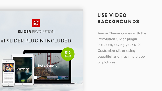 Asana WordPress Theme Presentation Image