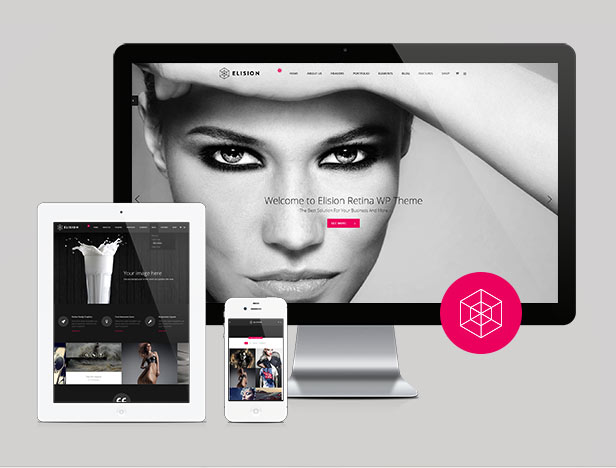 Elision - Retina Mehrzweck-WordPress-Theme - 1
