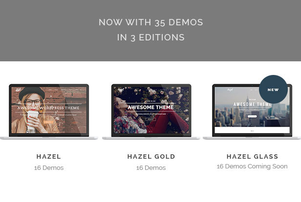 Hazel - Kreatives WordPress-Theme mit mehreren Konzepten - 1