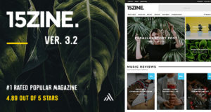 15Zine – HD Magazin / Zeitung WordPress Template