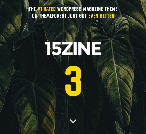 15zine ist das ultimative WordPress-Magazin-Thema