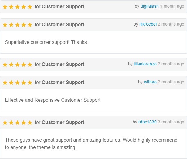 Castor – WordPress-Theme für Unternehmensberatung – 4