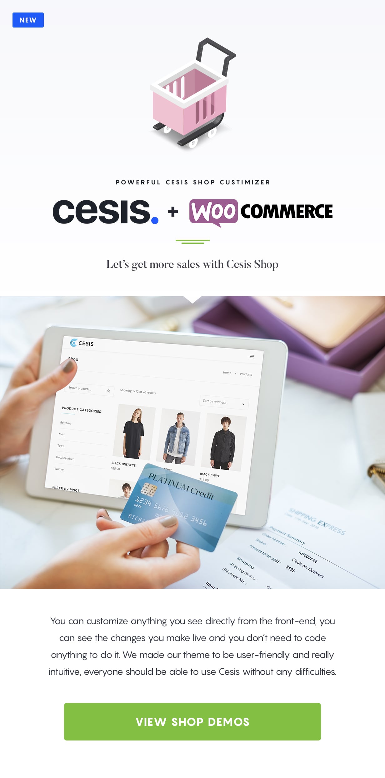 Cesis | Responsives Mehrzweck-WordPress-Theme - 5