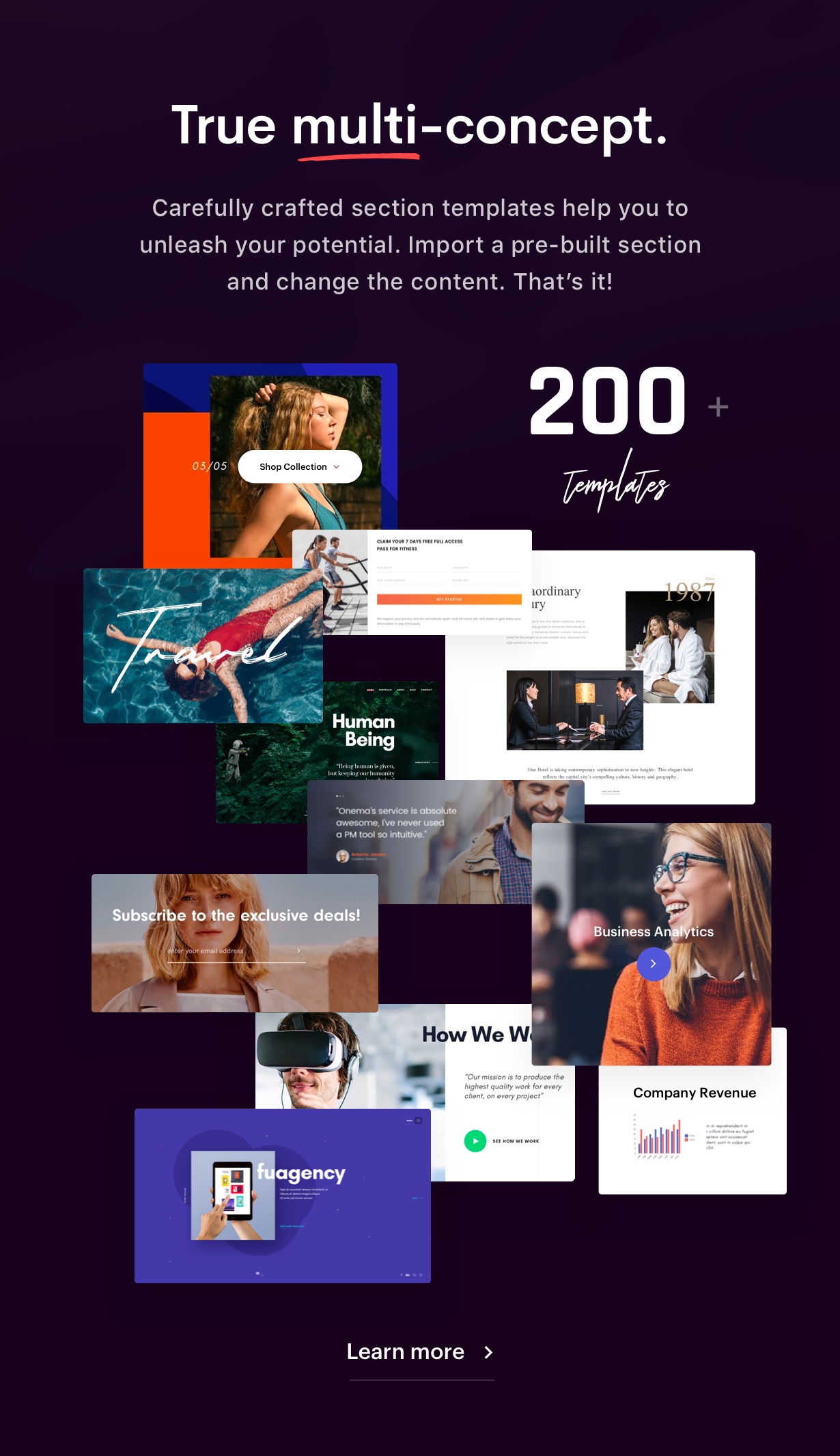 Ave - Responsives WordPress-Mehrzweckthema - 9