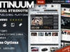Continuum – Magazin WordPress Template