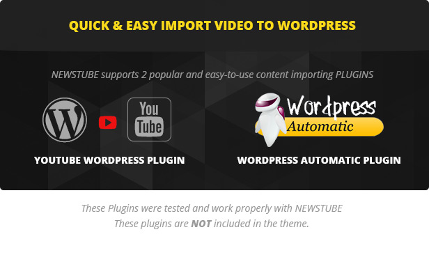 NEWSTUBE unterstützt 2 Plugins zum Importieren von Videos