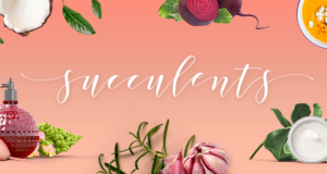 Sukkulenten – Thema gesunde Lebensweise und Wellness
